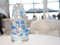 Cinemark celebrates Christmas in July