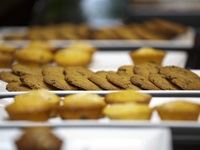 #Loeries2016: PRISA National Conference