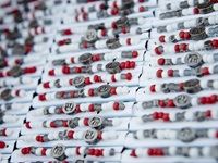 The Red Carpet Fashion Show 2016