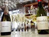 The Red Carpet Fashion Show 2016