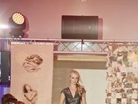 The Red Carpet Fashion Show 2016