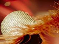 The Red Carpet Fashion Show 2016