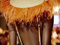 The Red Carpet Fashion Show 2016