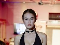 The Red Carpet Fashion Show 2016