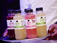 The Red Carpet Fashion Show 2016