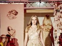 The Red Carpet Fashion Show 2016