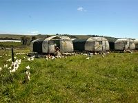 Beauty Without Cruelty calls for cage-free policy