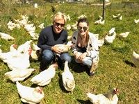 Beauty Without Cruelty calls for cage-free policy