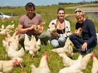 Beauty Without Cruelty calls for cage-free policy