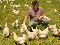 Beauty Without Cruelty calls for cage-free policy