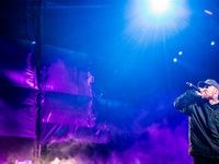 Rocking the Daisies 2016