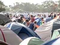 Rocking the Daisies 2016