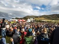 Rocking the Daisies 2016