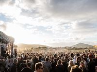 Rocking the Daisies 2016