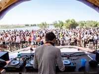 Rocking the Daisies 2016