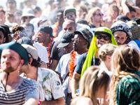 Rocking the Daisies 2016