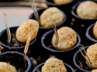 Adams & Adams hosts GALA's first African event