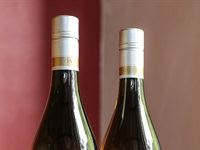 Eco-friendly wines recognised at GWA