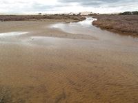 The Alexandria Dunefields are the largest in the southern hemisphere.