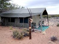 Sanbona Explorer Camp: A holistic safari adventure