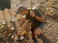 Sanbona Explorer Camp: A holistic safari adventure