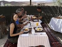 Sanbona Explorer Camp: A holistic safari adventure