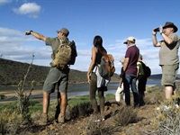 Sanbona Explorer Camp: A holistic safari adventure