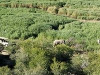 Sanbona Explorer Camp: A holistic safari adventure