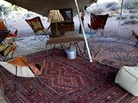 Sanbona Explorer Camp: A holistic safari adventure