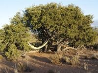 Sanbona Explorer Camp: A holistic safari adventure