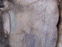 Sanbona Explorer Camp: A holistic safari adventure