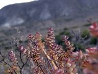 Sanbona Explorer Camp: A holistic safari adventure