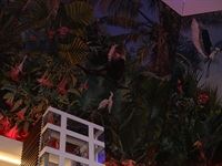 Sun City Sun Central Launch