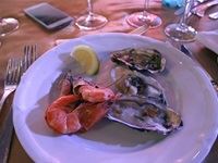 Sun City Sun Central Launch