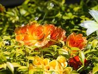 Original Mason's unveiled at The Deck