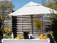 Original Mason's unveiled at The Deck