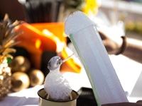 Original Mason's unveiled at The Deck