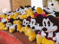 Miney and Mickey Mouse plush toys