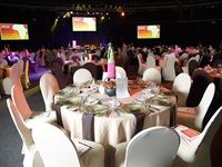 Roaring success for the ROAR Organiser and Exhibitor Awards