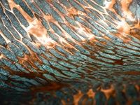 Southern Guild to take part in London auction