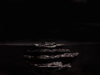 Southern Guild to take part in London auction