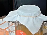 Theonista acquaints Cape Town foodies with kombucha