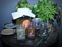 Theonista acquaints Cape Town foodies with kombucha