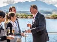 Absa, Pinotage Association celebrate 21 years by crowning the top 10 pinotage