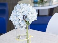 #Loeries2017: California Dreaming with Unilever SA