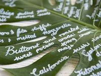 #Loeries2017: California Dreaming with Unilever SA