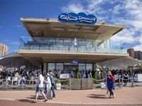 #Loeries2017: California Dreaming with Unilever SA