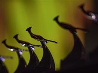 #Loeries2017: Loeries Saturday Awards Ceremony