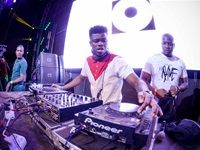 Major League Gardens Festival