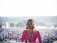 Major League Gardens Festival